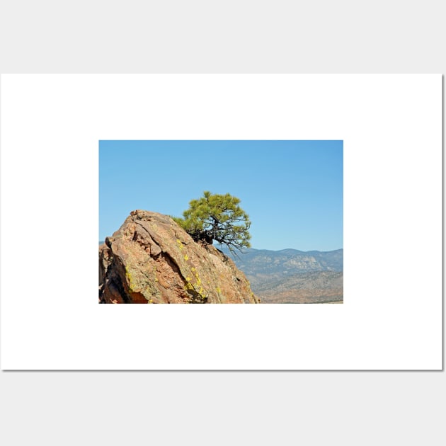 Shrub and Rock at Canon City Wall Art by bobmeyers